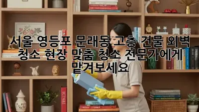 서울 영등포 문래동 고층 건물 외벽 청소, 현장 맞춤 청소 전문가에게 맡겨보세요!